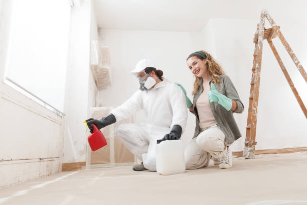 Best Commercial Mold Inspection  in Quincy, IL